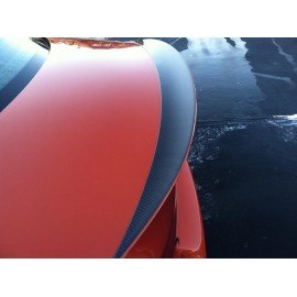 Heckspoiler Carbon REVOZPORT BMW E82 1-Series 
